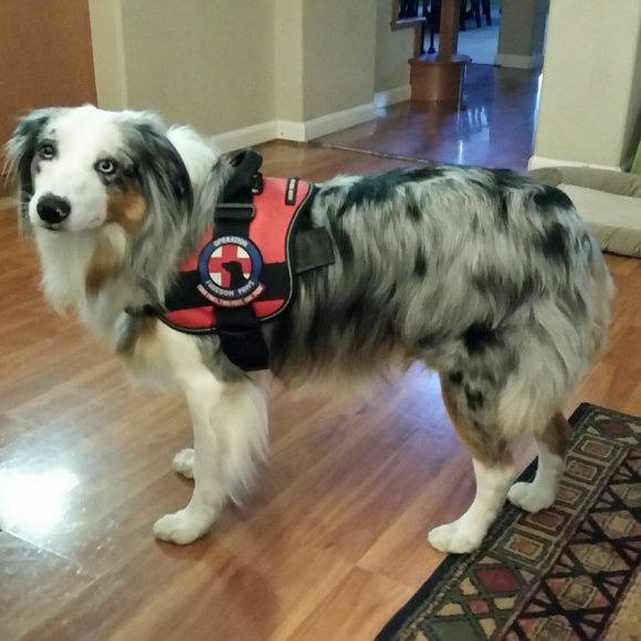 Meet your Posher, Patrice - Picture 2 of 13